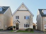 Thumbnail for sale in Saxifrage Close, Tharston, Norwich