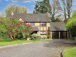 Thumbnail to rent in Beech Holt, Leatherhead