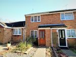 Thumbnail to rent in Holly Drive, Waterlooville