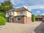 Thumbnail for sale in Hackford Road, Wicklewood, Wymondham