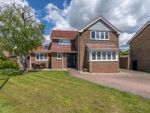 Thumbnail to rent in Worcester Road, Chichester