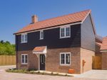 Thumbnail to rent in Plot 235, The Gosford, Saxon Park, Biddenham