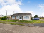 Thumbnail for sale in Maple Close, Clacton-On-Sea