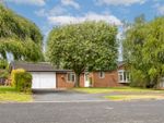 Thumbnail for sale in Yew Tree Close, Little Budworth, Tarporley