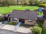 Thumbnail to rent in Overton Park, Strathaven