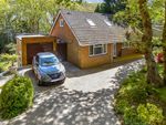 Thumbnail for sale in Youngwoods Way, Sandown, Isle Of Wight