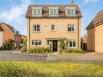 Thumbnail to rent in Chamomile Close, Red Lodge, Bury St. Edmunds