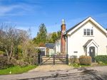 Thumbnail to rent in Walderton, Chichester