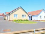 Thumbnail for sale in Cattermole Way, Thorpe-Le-Soken, Clacton-On-Sea