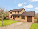 Thumbnail to rent in Hunter Grove, Bathgate