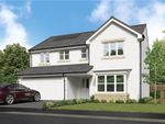 Thumbnail for sale in "Bayford" at Off Craigmill Road, Strathmartine, Dundee