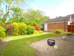 Thumbnail for sale in Buttercup Close, Stockton-On-Tees, Durham