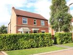 Thumbnail to rent in Chestnut Way, Selby