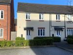 Thumbnail to rent in Angelica Road, Lincoln