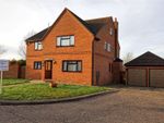 Thumbnail to rent in Thatchers Croft, Latchingdon, Chelmsford