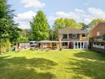 Thumbnail for sale in Roundway Close, Camberley