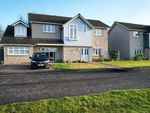 Thumbnail for sale in Elcho Drive, Dundee, Angus