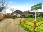 Thumbnail to rent in Park Drive, Verwood