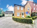 Thumbnail for sale in Attingham Drive, Dudley