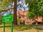 Thumbnail to rent in Academy Court, Goldring Way, St. Albans, Hertfordshire