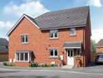 Thumbnail to rent in "The Hatfield" at Abbotsbury Drive, Daventry