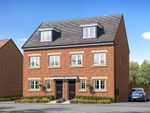 Thumbnail to rent in "Bamburgh" at Long Lands Lane, Brodsworth, Doncaster