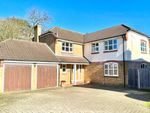 Thumbnail for sale in Wyldwood Close, Harlow