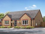 Thumbnail to rent in "The Hazel" at Church Road, Old Newton, Stowmarket