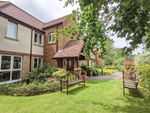Thumbnail to rent in Grove Lane, Holt