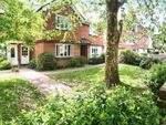 Thumbnail for sale in Mill House Gardens, Worthing
