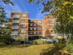 Thumbnail to rent in Craneswater Park, Southsea