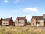 Thumbnail to rent in Wildflower Orchard, Minsterworth, Gloucester, Gloucestershire