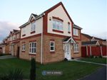 Thumbnail to rent in Fairmount Road, Wrexham