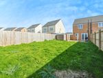 Thumbnail for sale in Spindle Drive, Clacton-On-Sea, Essex