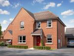 Thumbnail for sale in "Radleigh" at Armstrongs Fields, Broughton, Aylesbury