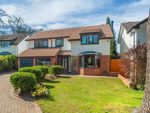 Thumbnail for sale in St. Bernards Road - Solihull, West Midlands