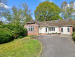 Thumbnail for sale in Pine Road, Hiltingbury, Chandlers Ford