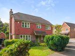 Thumbnail for sale in Nightingale Close, Winchester