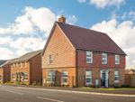 Thumbnail to rent in "Hadley" at Magna Road, Canford