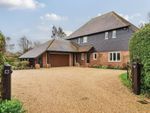 Thumbnail for sale in Bremere Lane, Chichester