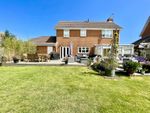Thumbnail for sale in Gainsborough Road, Bexhill-On-Sea