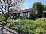 Thumbnail for sale in Mansell Close, Bexhill-On-Sea