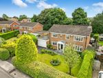 Thumbnail for sale in Farr Holme, Darlington