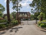 Thumbnail to rent in St Catherines Wood, Camberley