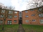 Thumbnail to rent in Pippin Green, Norwich