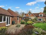 Thumbnail to rent in Beacon Road, Crowborough, East Sussex