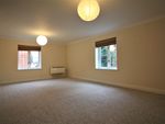 Thumbnail to rent in Yarmouth Road, Norwich