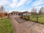 Thumbnail to rent in Craigie Hill, Drumoig, St Andrews