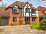 Thumbnail to rent in Park Hall Road, Reigate, Surrey