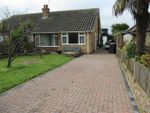 Thumbnail to rent in Shamrock Avenue, Seasalter, Whitstable